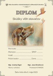 565x800_Diplom SVS Saa-Veca 6. maj 2023